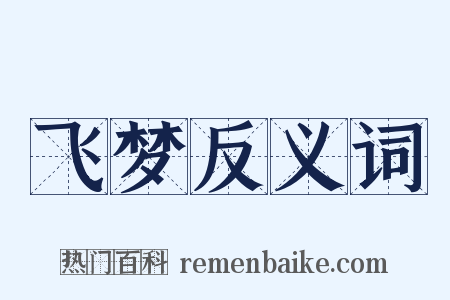 飞梦反义词是什么意思的图片